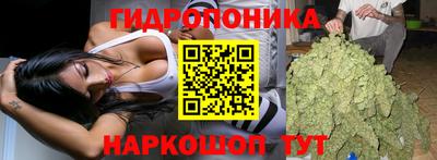 гидра Заводоуковск