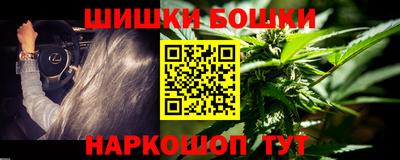 гидра Заводоуковск