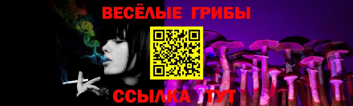 Галлюциногенные грибы прущие грибы Лениногорск